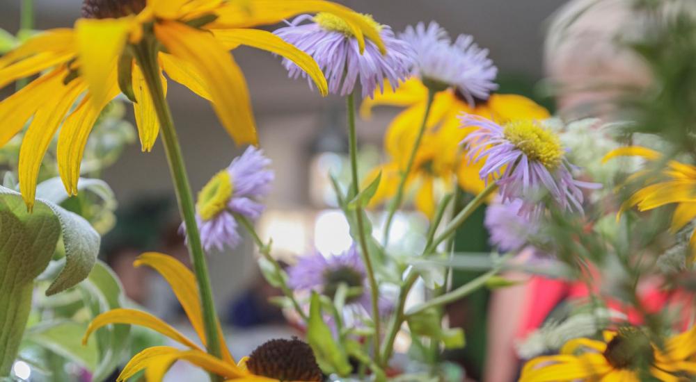 Wiesenblumen in kleinen Glasvasen