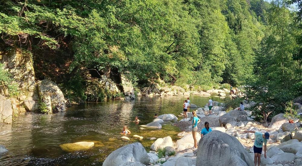 Foto: Kulturamt Flussbett